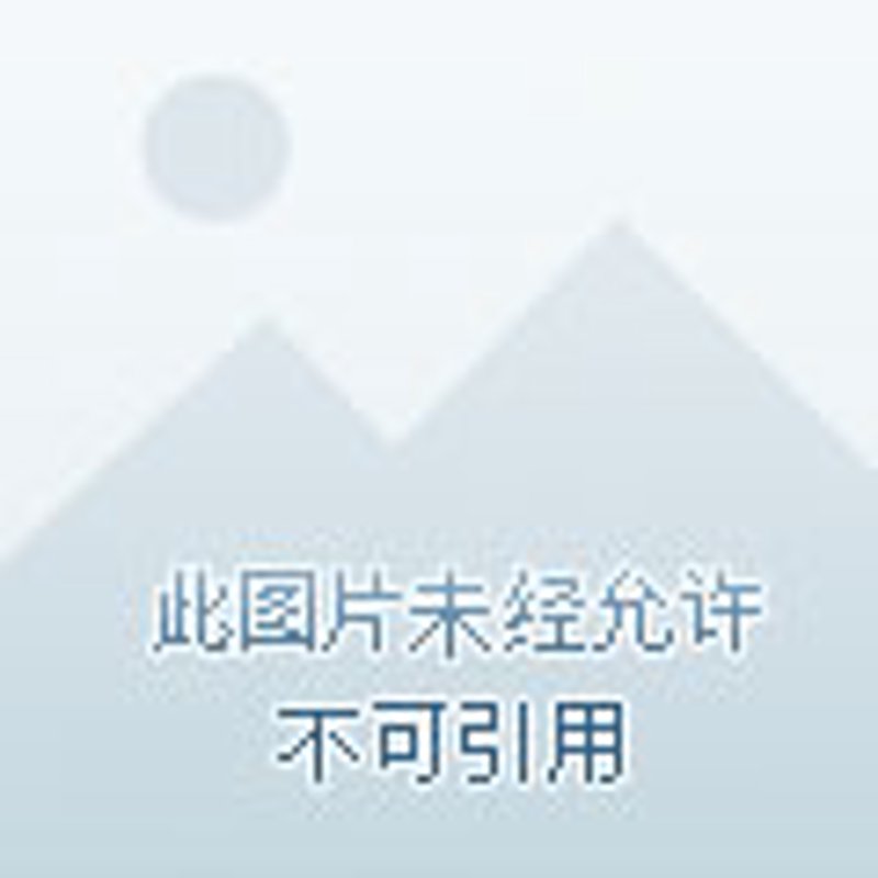 企业信息化，构筑高效运营的桥梁——以某连锁餐饮企业为例