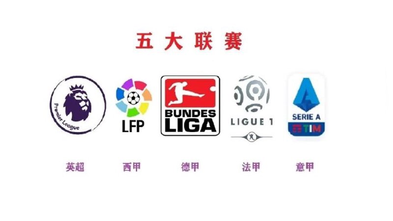 企业信息化：开启高效办公新篇章