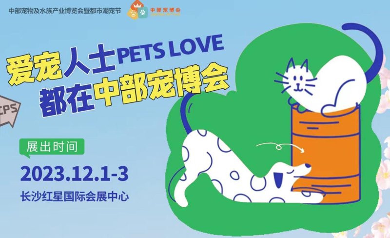 赛事动态：把握最新趋势，引领未来方向